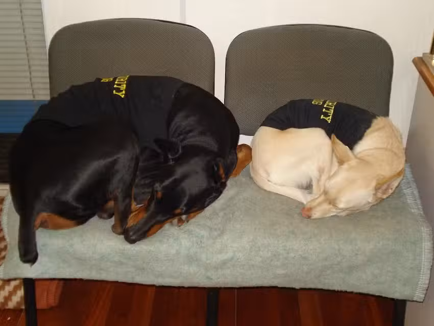 Candel Ra&uacute;l Inmobiliaria