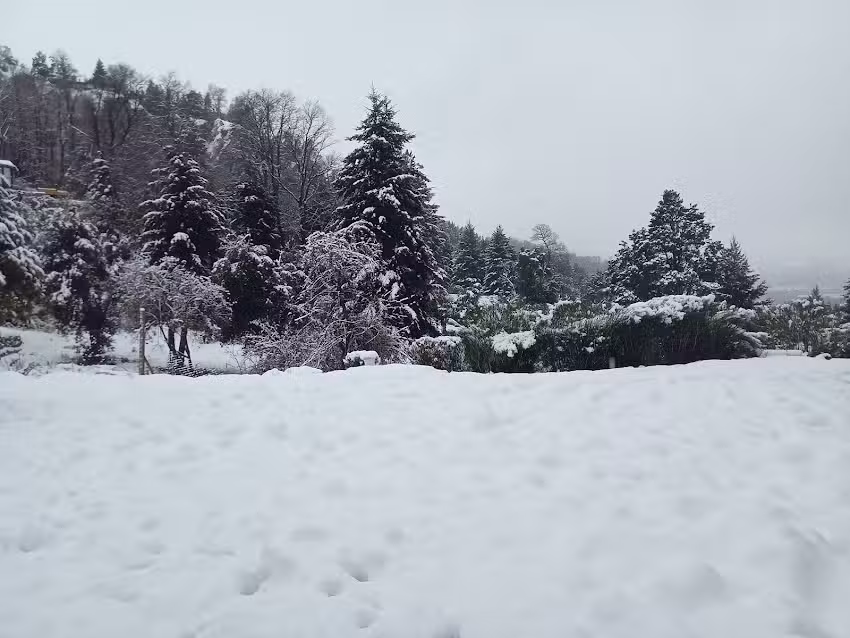 Casa del Bosque