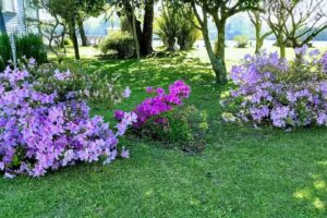 CasaQuintaEd&eacute;n