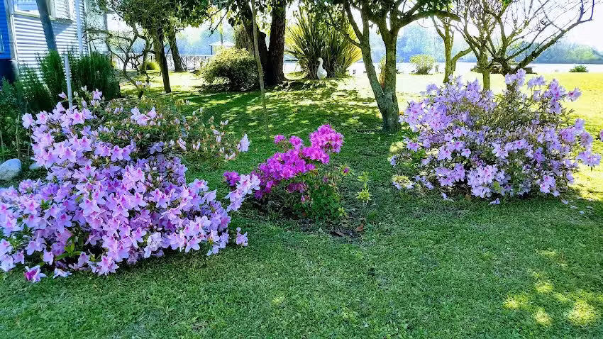 CasaQuintaEd&eacute;n