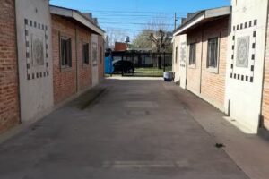 Cecilia Bonino Negocios Inmobiliarios