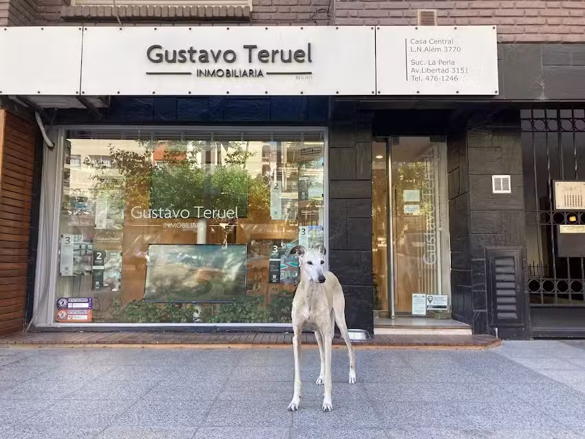 Cecilia Martini Inmobiliaria