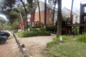 Celtis Departamentos con servicios