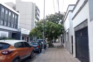 Centella Propiedades