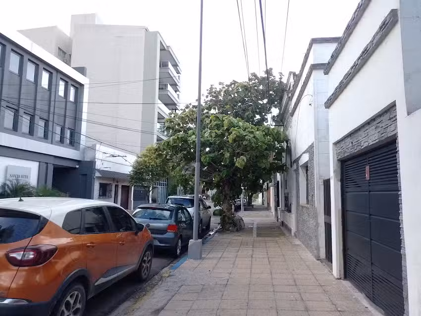 Centella Propiedades