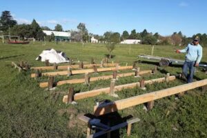 Chacra Tilo Gualeguay