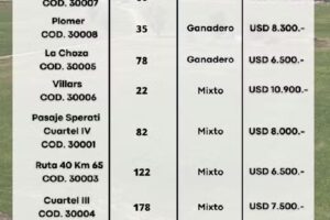 Chiavone Propiedades