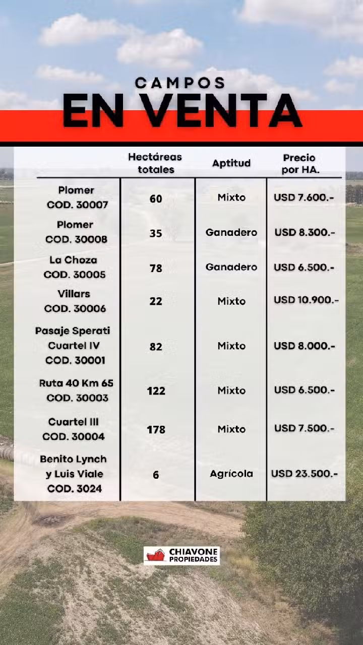 Chiavone Propiedades