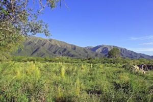 Cip Inmobiliaria Constructora