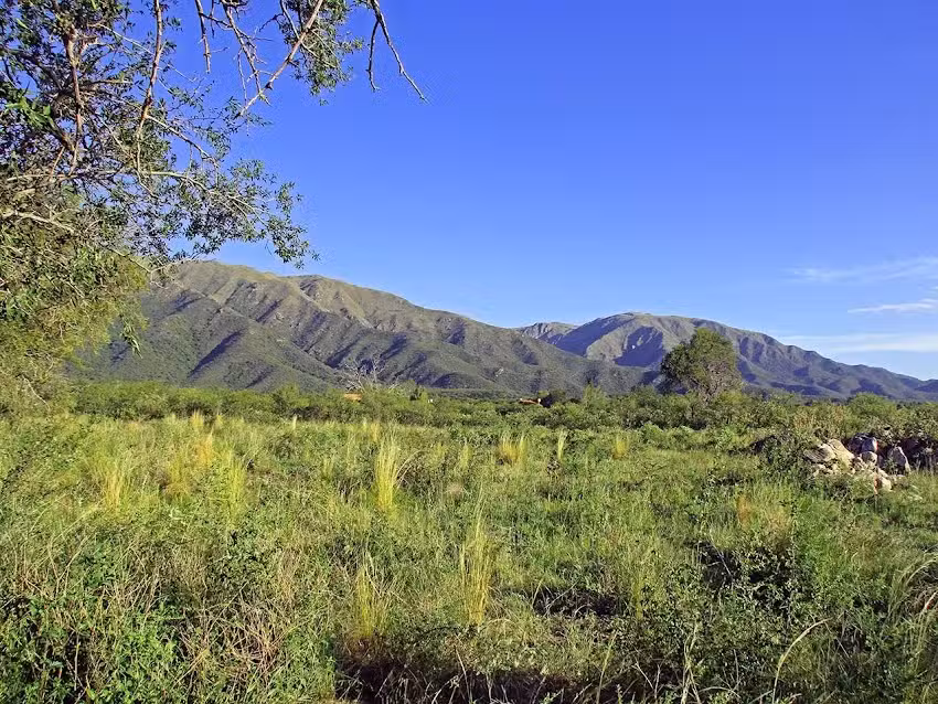 Cip Inmobiliaria Constructora