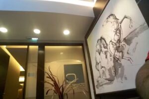 Cocucci Inmobiliaria