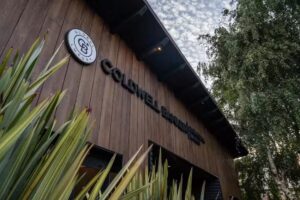 Coldwell Banker Patagonia Lakes Bariloche