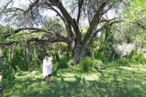 Colorin Colorado Animaciones