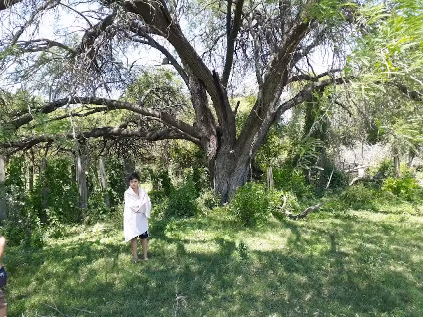 Colorin Colorado Animaciones