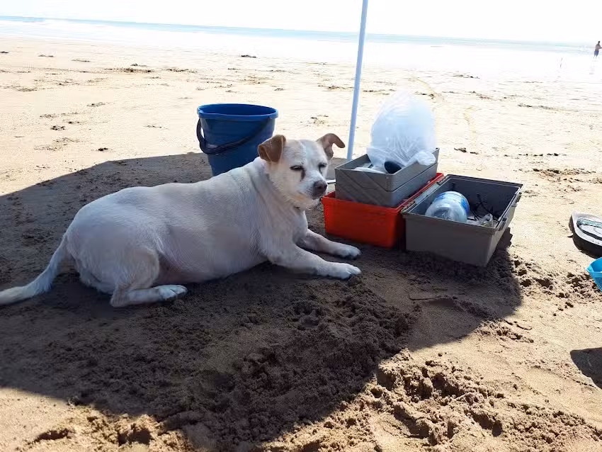 Complejo Turistico Cuatro soles del mar