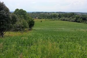 Compra Venta de Chacras Marcelo G