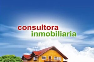 Consultora Inmobiliaria