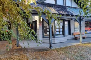 Consultora Virtual Negocios Inmobiliarios