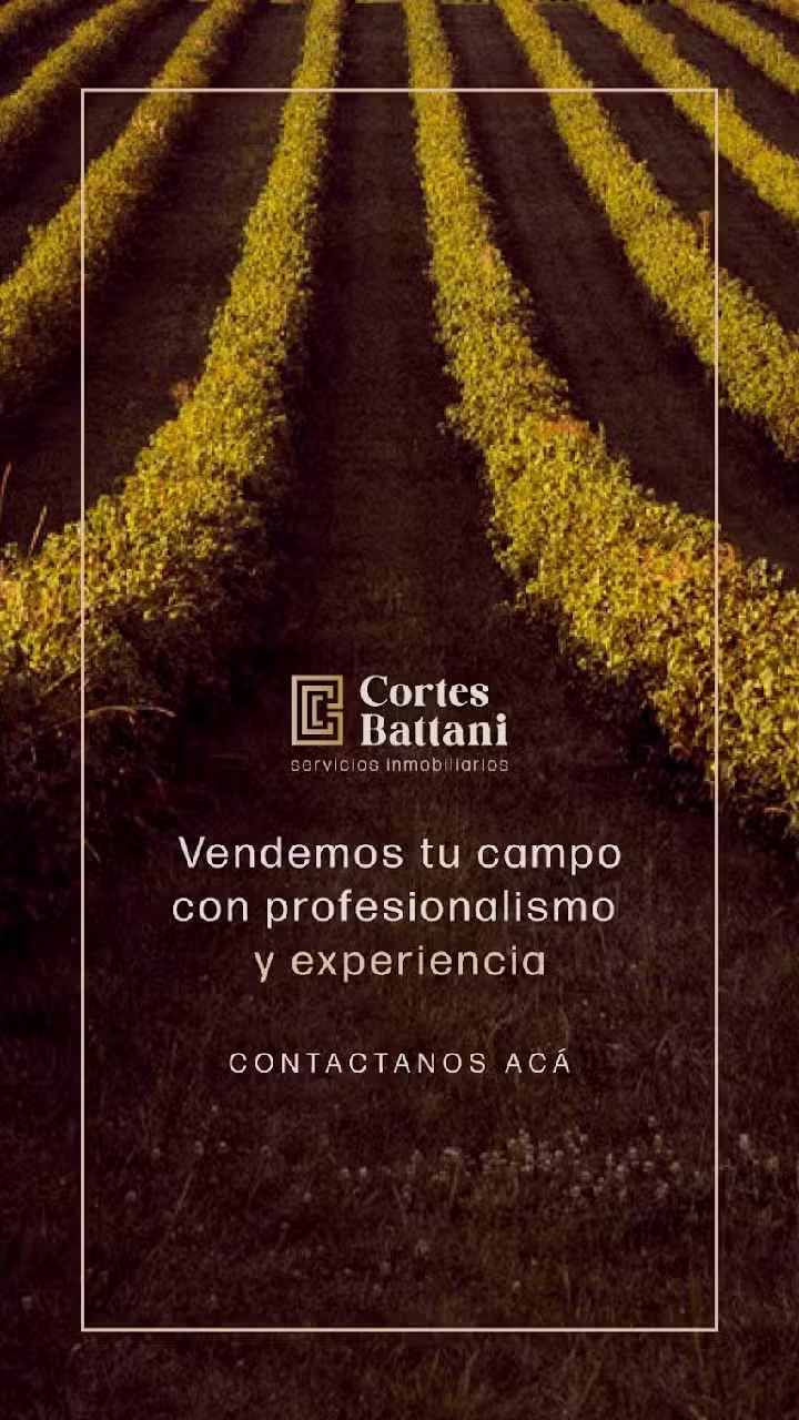 Cortes Battani Servicios Inmobiliarios