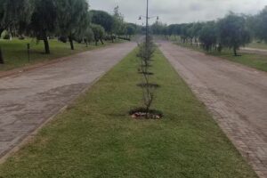 Country Las Corzuelas