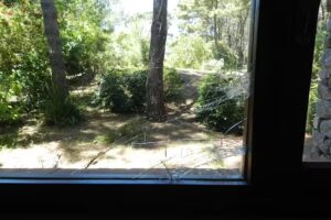 Daiana Cruz Inmobiliaria