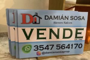 Dami&aacute;n Sosa Bienes Ra&iacute;ces Cpi 7968