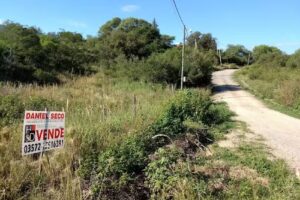 Daniel Seco Terrenos En Venta