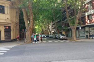 David Cipolla Propiedades Belgrano