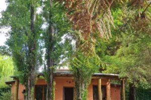 De Barro y Ca&ntilde;a Apacible diferente y lleno de esencia