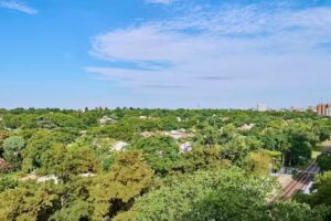 De Lafor&eacute; Bienes Ra&iacute;ces