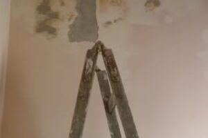 Departamentos Epulen