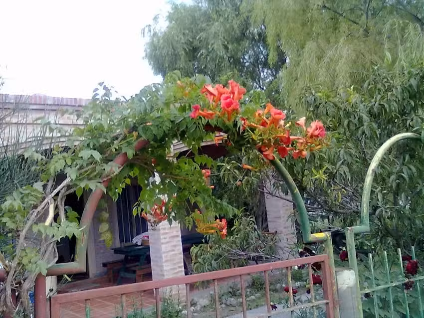 Departamentos Lolo Wasi