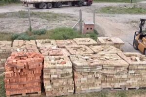 Desarrolladora M&uuml;llers