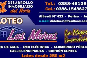 Desarrollo Inmobiliario Del Norte