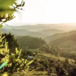 Desarrollos En Calamuchita