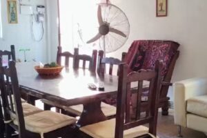 Desenchufateenpasodelapatria