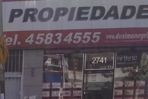 Desimone Grillo Propiedades