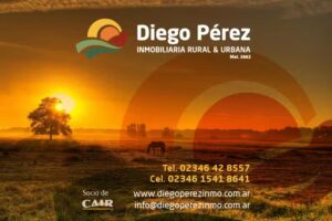 Diego Perez Inmobiliaria Rural y Urbana