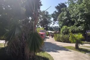 Donsini Inmobiliaria