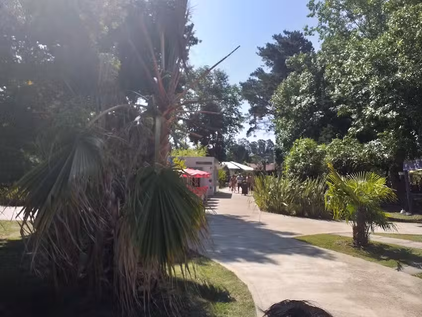 Donsini Inmobiliaria