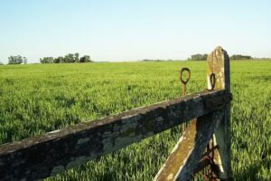 Eduardo Zanardi Inmobiliaria y Remates