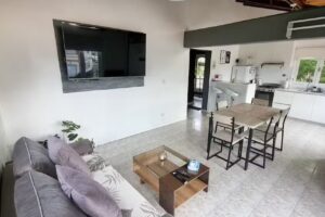 El C&oacute;ndor Fueguino