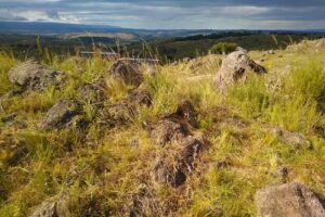 El Siciliano Emprendimientos