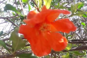 El Sitio espacio recreativo