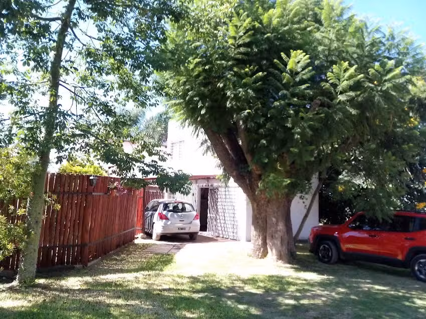 El Viejo Jacarand&aacute;