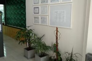 Elba San Juan Inmobiliaria