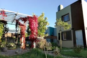 Elementos Pehuen Co Complejo De Mar