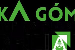 Erika Gomez Negocios Inmobiliarios