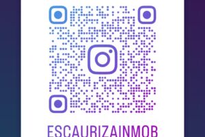 Escauriza Inmobiliaria de Andrea E Escauriza Ci Mat 0336