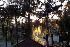 Estaci&oacute;n Para&iacute;so Caba&ntilde;as